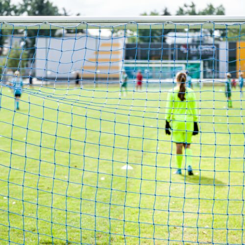 D1 Młodzik: (3-1) APR  – Cuiavia